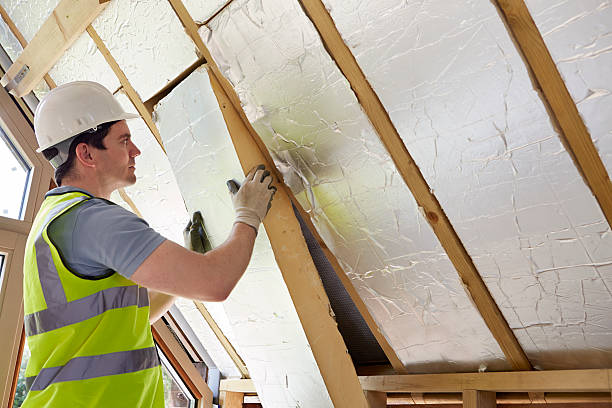 Best Residential Insulation Services  in Sioux City, IA